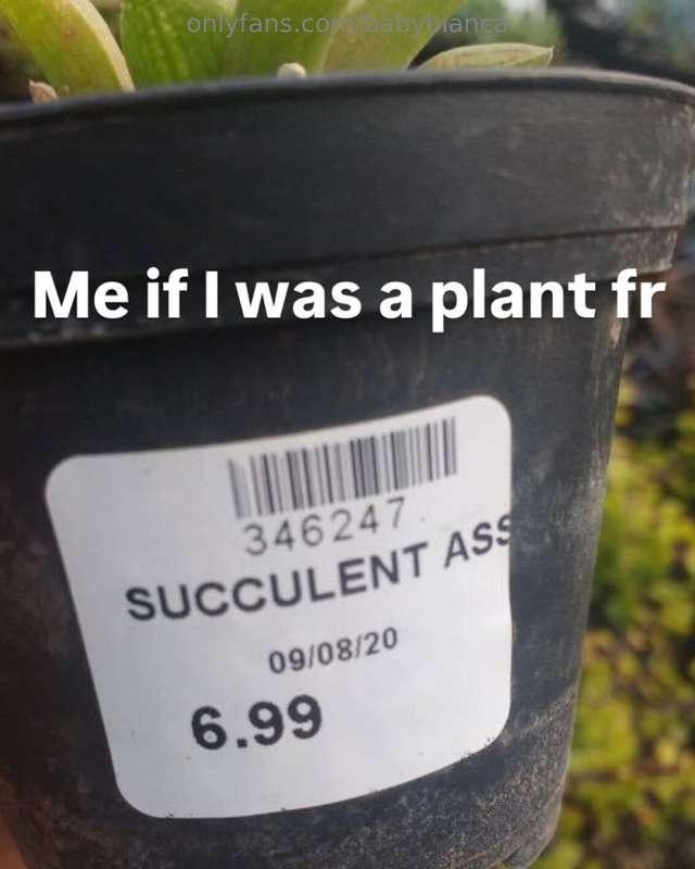 🪴🤣