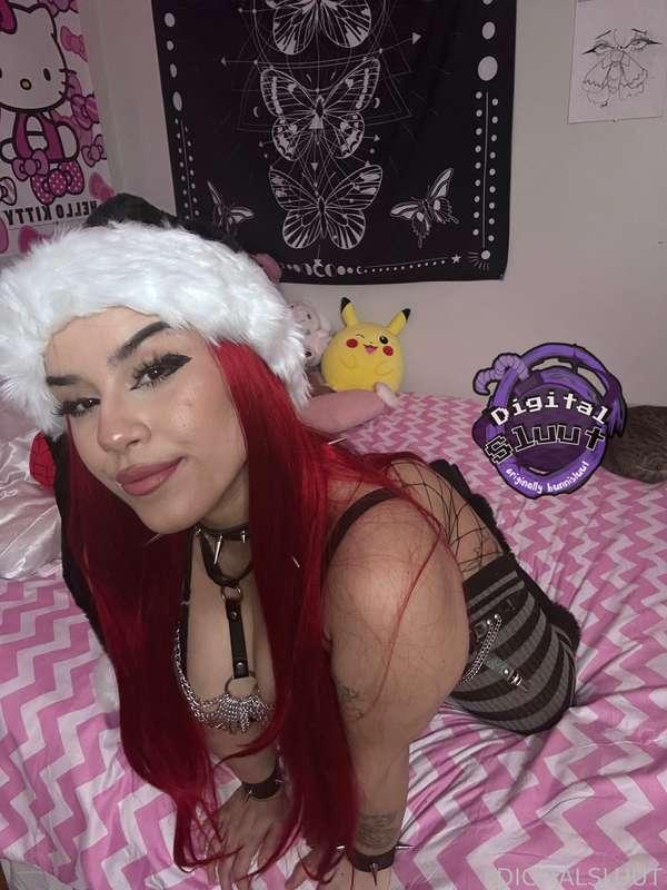 bunnisluut image #5