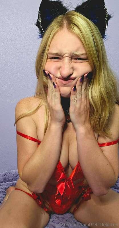 Squishy face