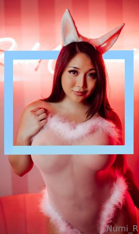 It's the Year of the Rabbit and I hope this brings you a lot..