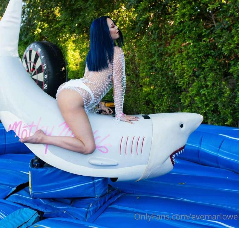 # About a month late on shark week but here ya go 😜🦈