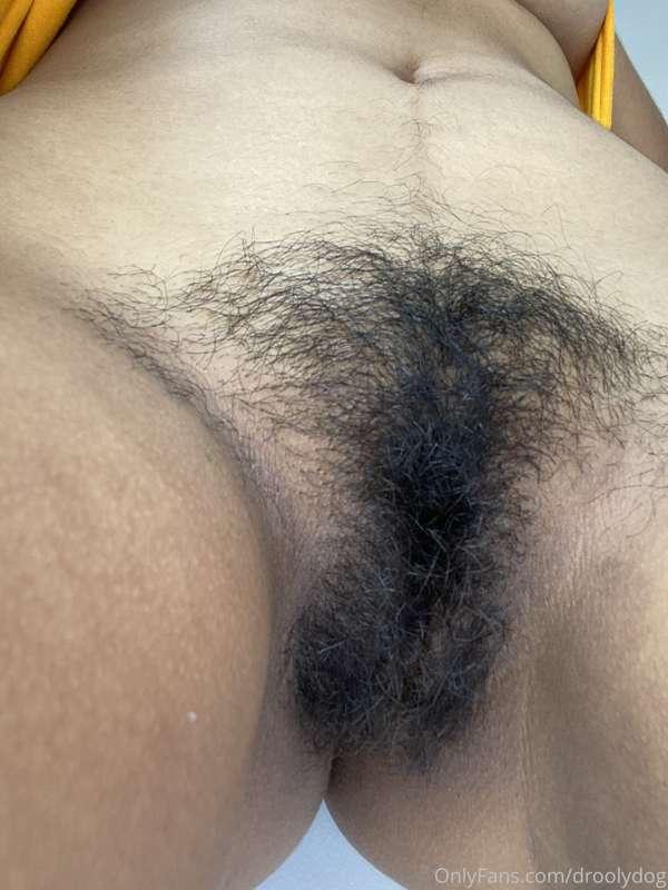 droolydog image #1