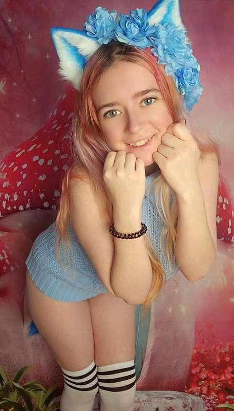 🐱🦋