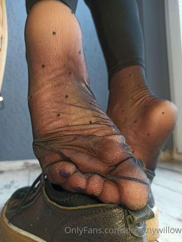 dreamywillow image #1