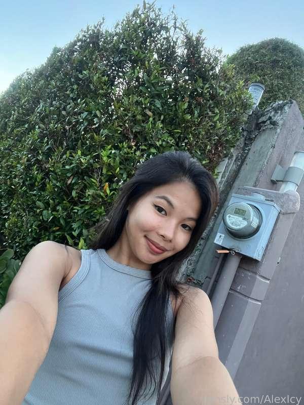 alexicy image #1