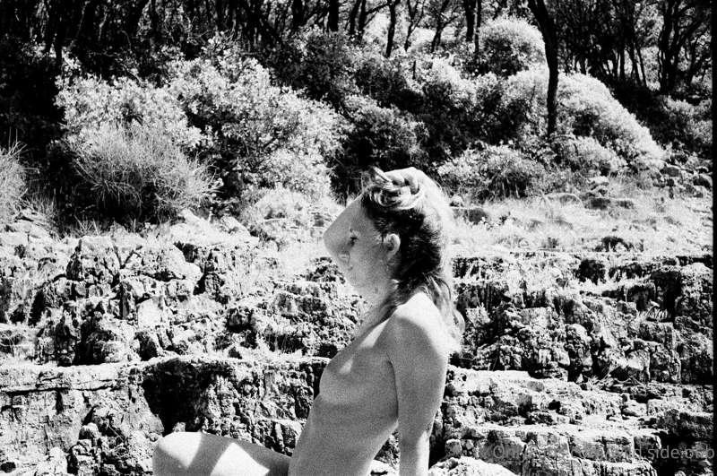 wild.side.of.b image #4