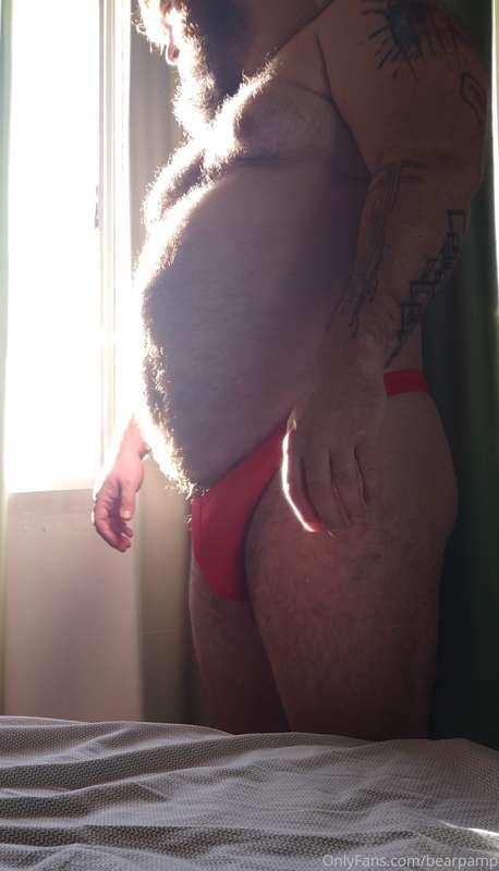 bearpamp main image