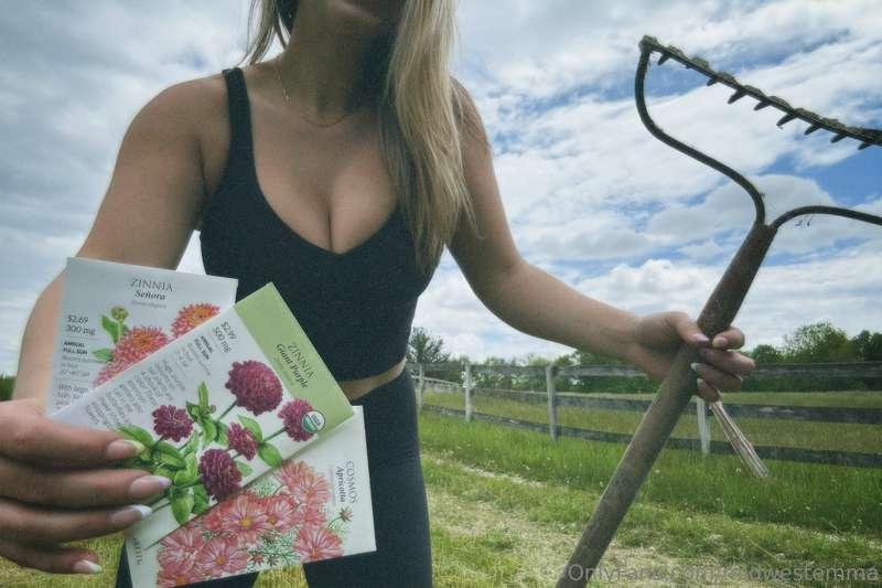 Midwestemma flower farm 🌷🌻
