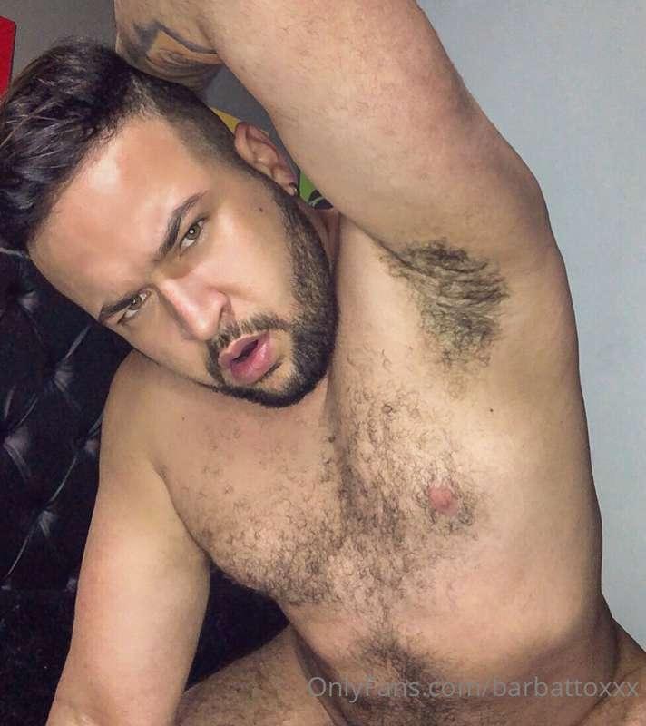 New profile picture.  🐻 Do you like hair?

Nueva foto de per..