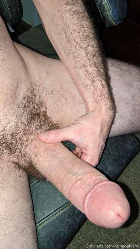 hungoakland image #1