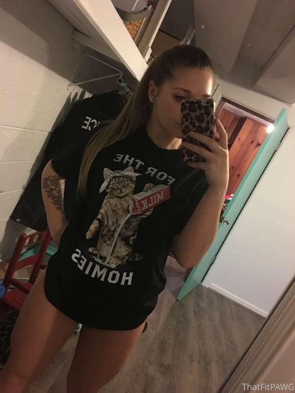 😽