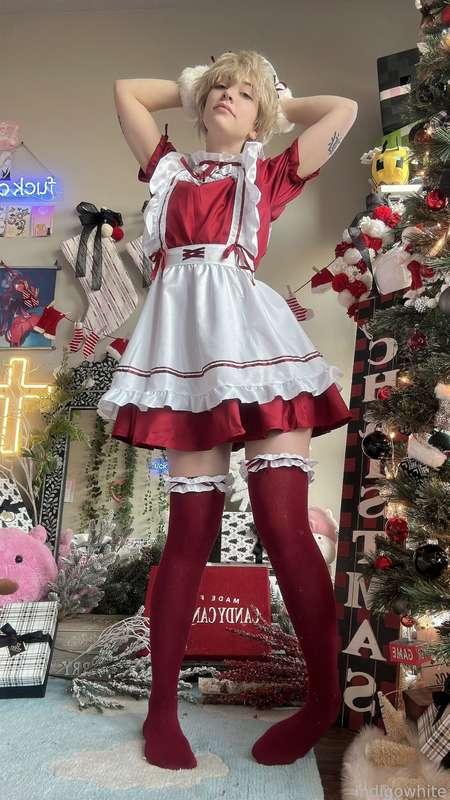 indigowhite image #10