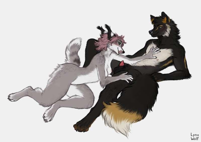 Lynxwolf and Fox