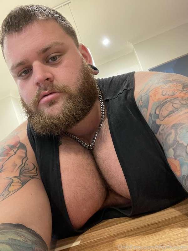 Do you guys like big tits ?