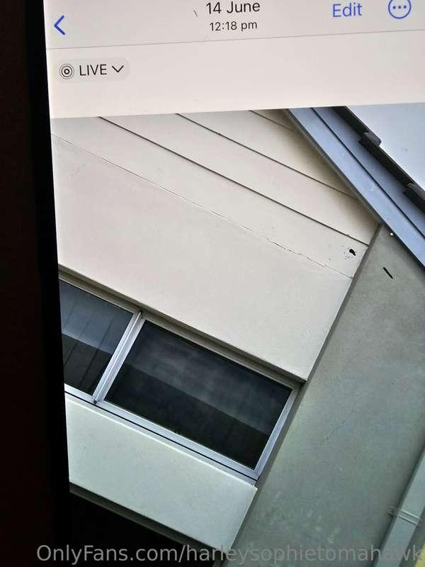 harleysophietomahawk image #9