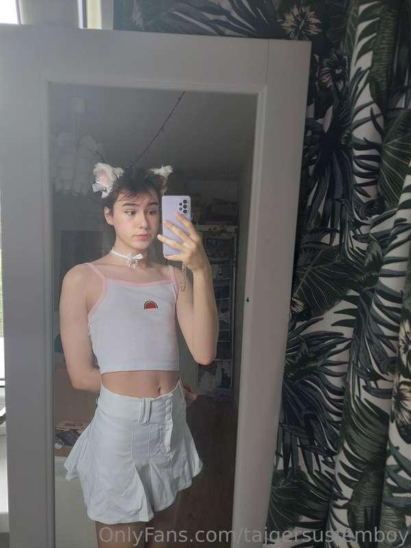 kitty boy meow