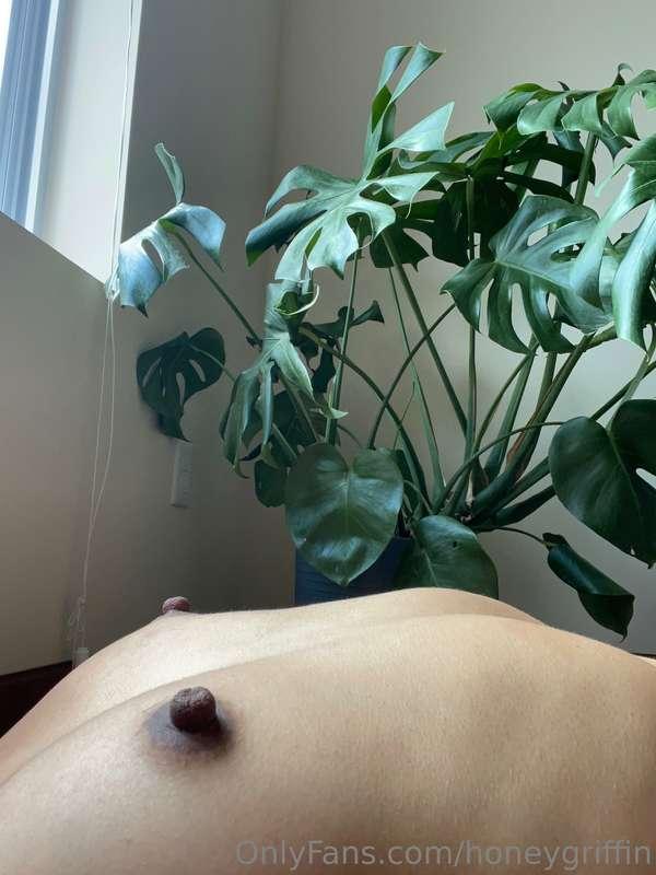 They need to be licked and bitten…