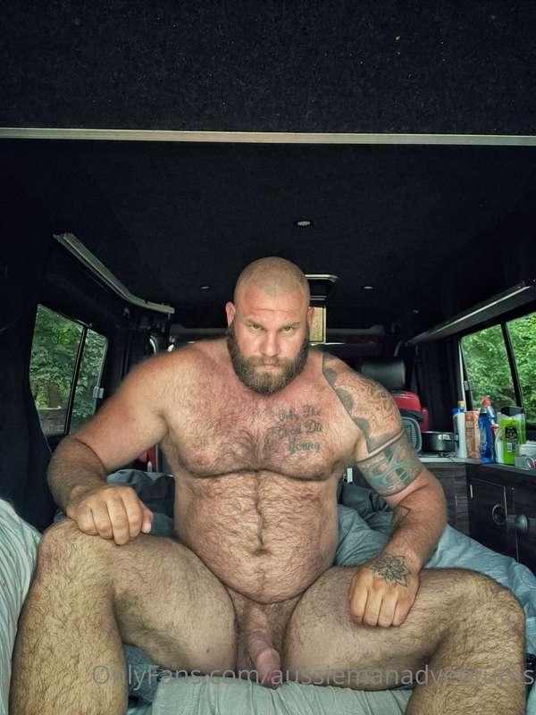 Who would like to spend the night in the woods with me in my..