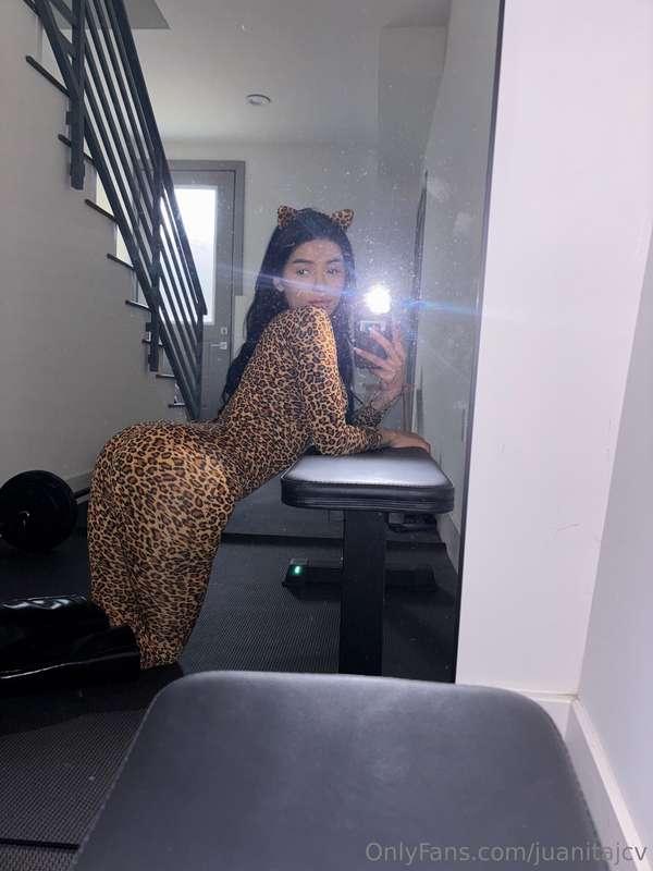 🐆