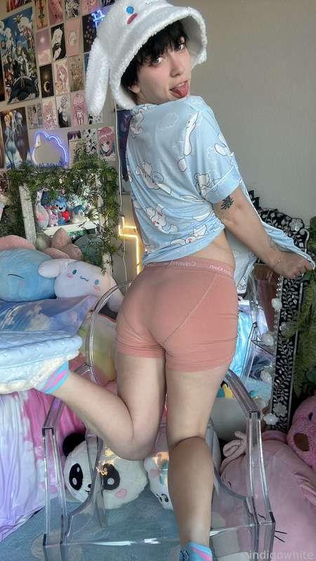 indigowhite image #32