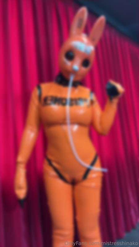 Follow the orange rabbit 😘