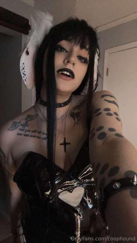 Dark Bunny