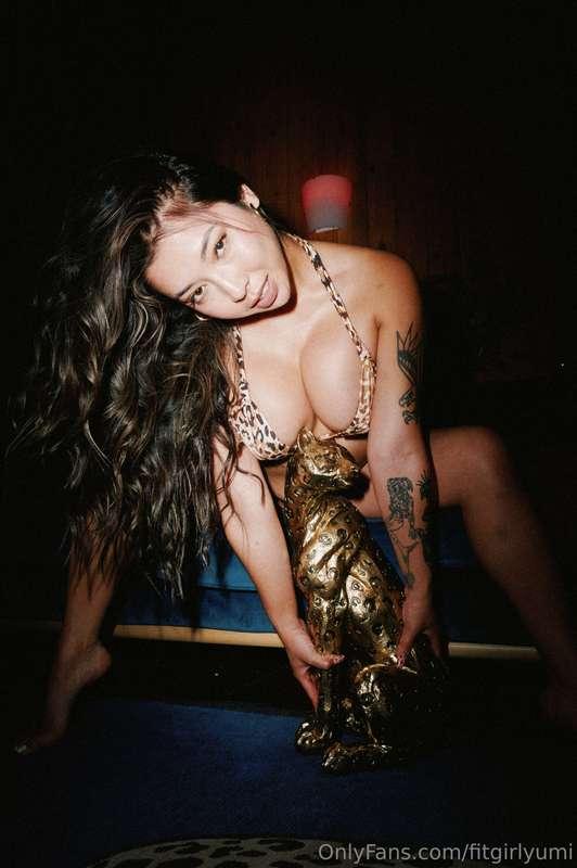 ~Nice, Kitty 🐆