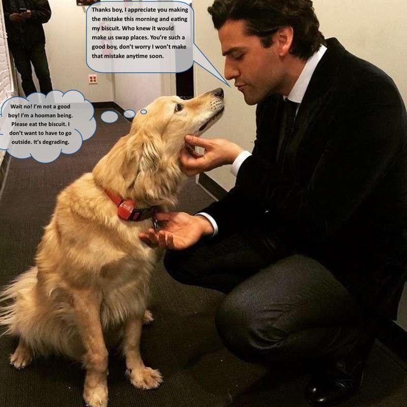 I'm a Hooman