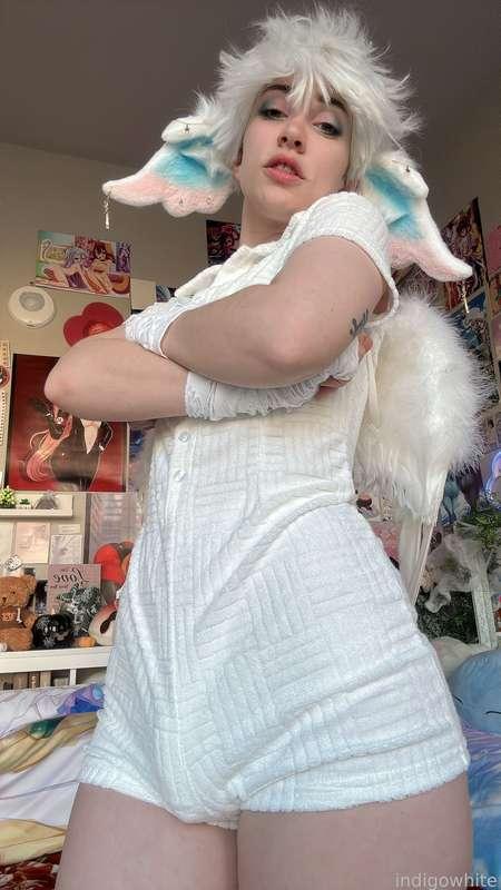 indigowhite image #221