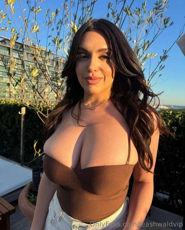 leashwaldvip image #0
