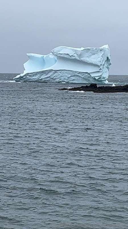 marytoppings411 image #1