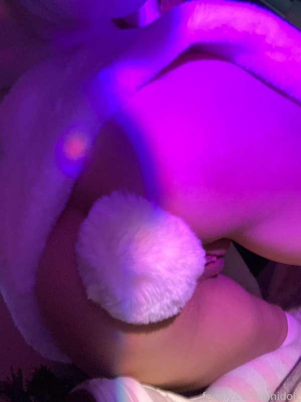 cinidoll image #5