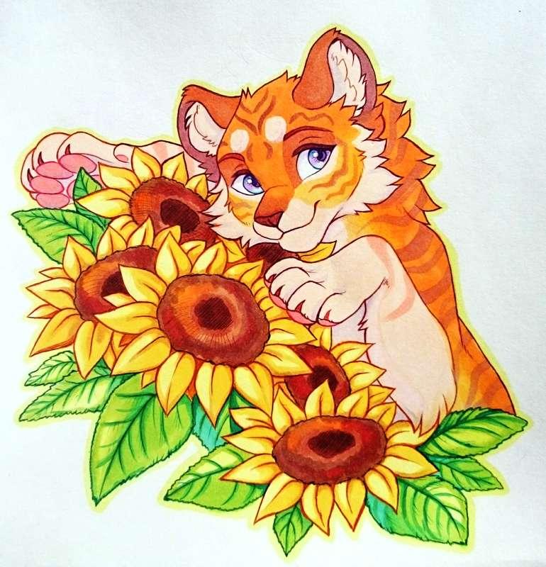 ketty main image