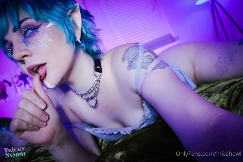 misshowl image #0