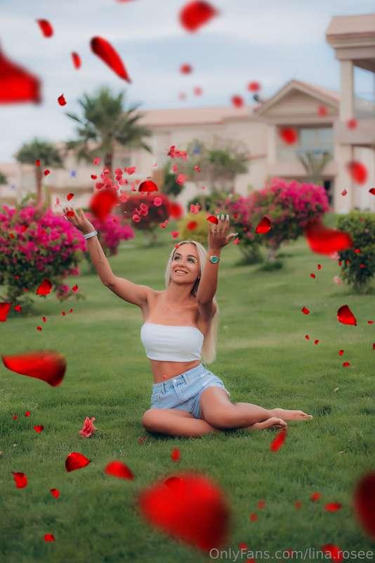 🌹❤️