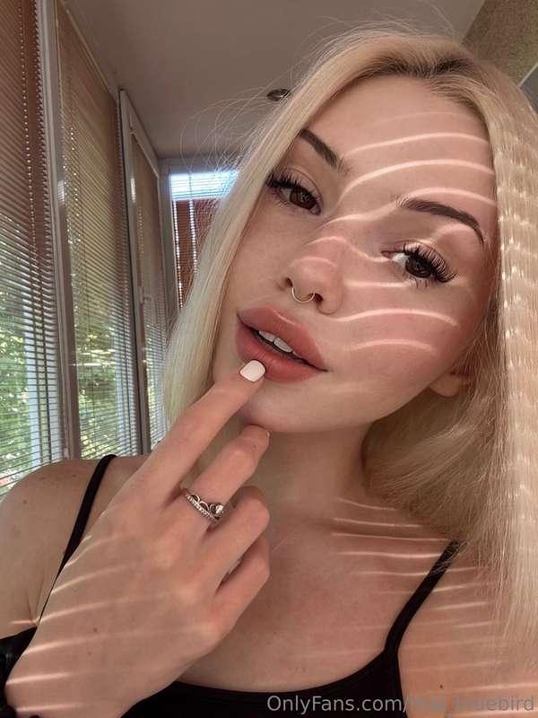 Everyone is either a catlover or a doglover, which one are y..