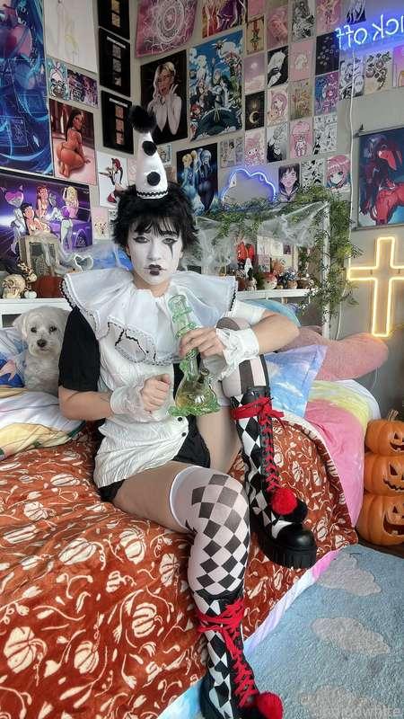 indigowhite image #14