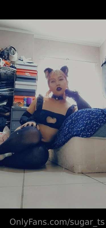More for the black cat set~♡
