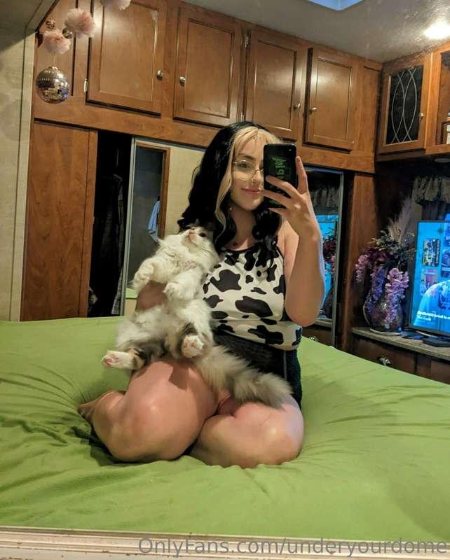 underyourdome image #9