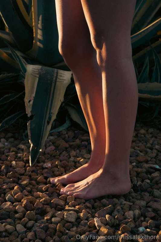 missalexthorn image #3