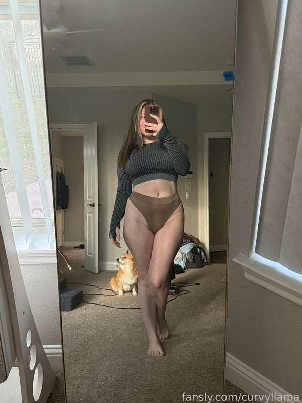 curvyllama image #1