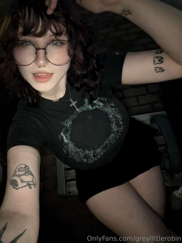 greylittlerobin image #1