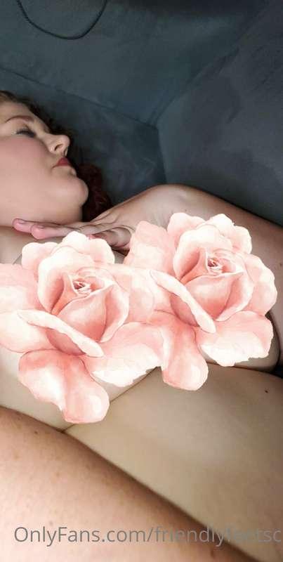 Who wants a six photo titty set?

Purchase to deflower the p..