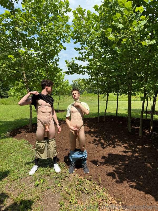 thestepbrothers image #2