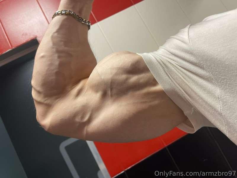 armzbro97 image #0