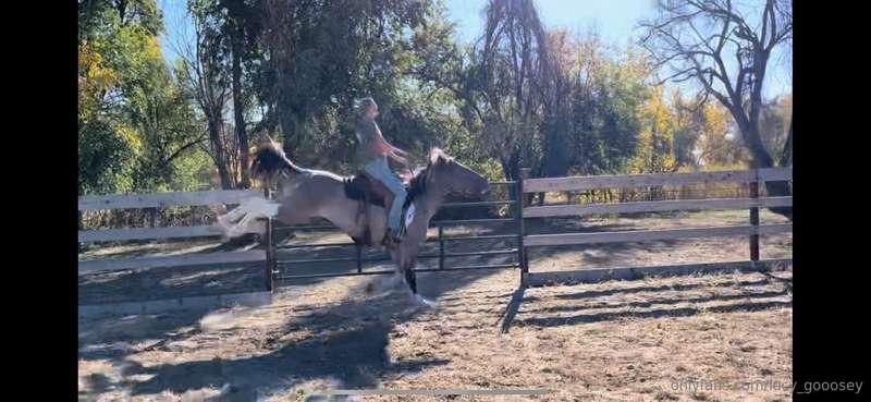 Just your daily reminder to get your shit together and ride ..