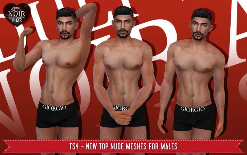 TS4 - New Top Nude Meshes for Males