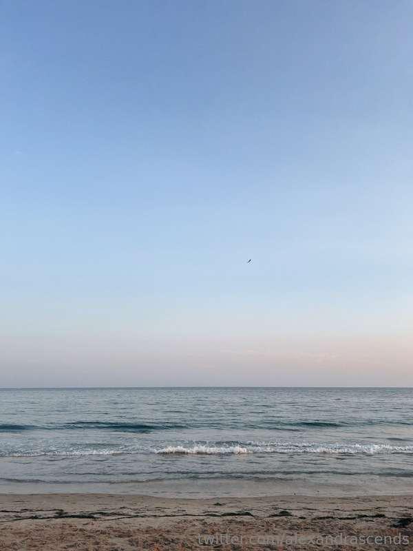 It’s been a while, hasn’t it?   Summer pulled me close and I..
