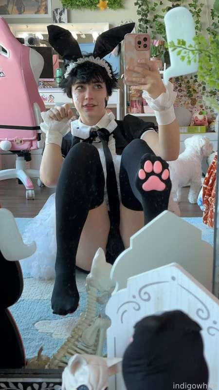 indigowhite image #10