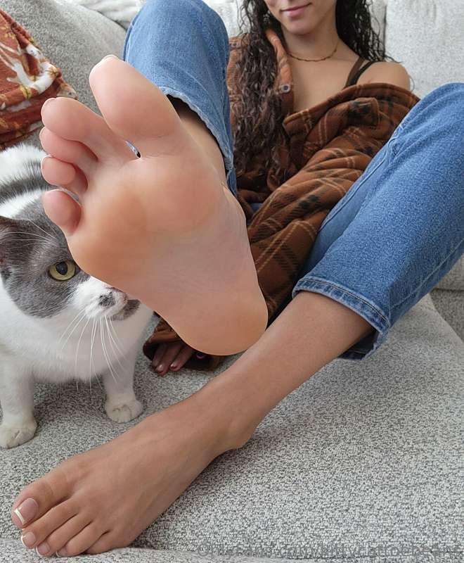 kittycattoebeans image #2